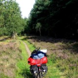 0508F 26 vor Lueneburg